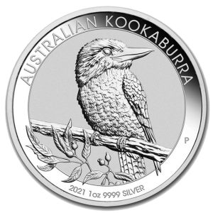 Kookaburra