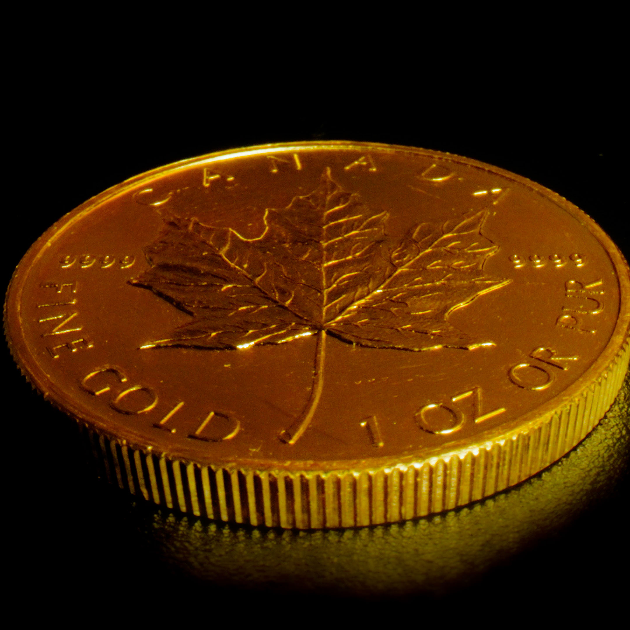 Maple Leaf Gold